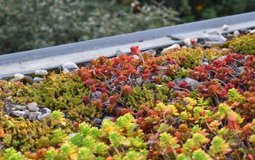 the cost of Knockcloghrim green roof installation