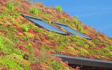 Knockcloghrim living roof systems